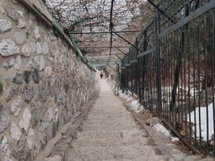 -香山公园