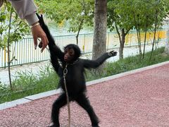 -水上乐园·欢乐世界