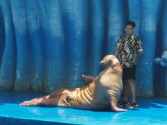 -华夏文旅海洋公园