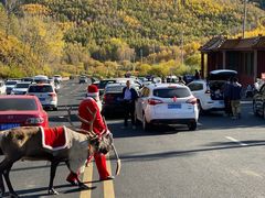 -塞罕坝国家级自然保护区