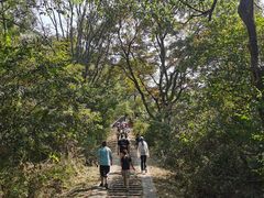 -青龙山国家森林公园