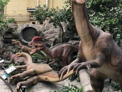 -国家自然博物馆