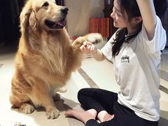 -彩虹桥宠物火化殡葬善终服务(金乐大厦店)