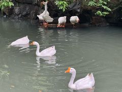 -兰亭风景区