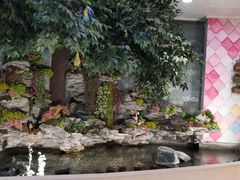 -星空布洛早教·托育(滨江店)