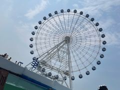 -秦皇岛乐岛海洋王国