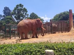 -昆明动物园