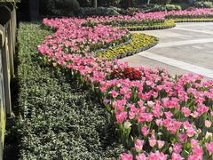 -忠山公园