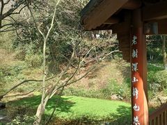 -杭州半山国家森林公园