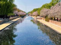 -元大都城垣遗址公园