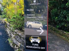 -怀托摩萤火虫洞