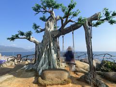 -海南分界洲岛旅游区