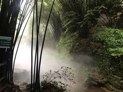 -川西竹海景区