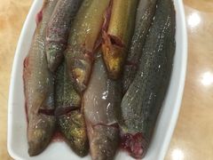 -新招鲜(桃浦路店)