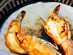 -熊出没日本烧肉放题