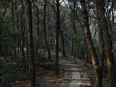 -西湖风景区十里琅珰-五云山