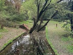 -共青国家森林公园-南大门停车场