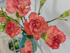 -盒马鲜生(馥邦国际店)