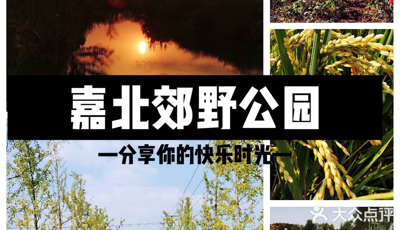 上海游攻略｜打卡小众景点嘉北郊野