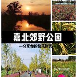 上海游攻略｜打卡小众景点嘉北郊野