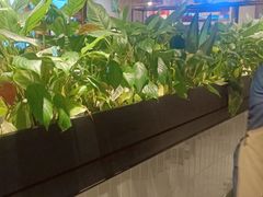 -管氏翅吧(台湾街店)