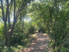 -敬亭山风景名胜区