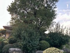 -诗经里