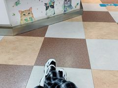 -奈斯宠物医院·核磁CT·异宠专科·内镜(中南店)
