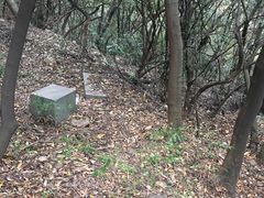 -杭州半山国家森林公园