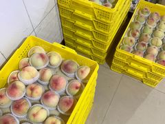 -老袁家蜜桃农场·阳山水蜜桃