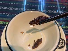 -昆虫窝子·特色云南菜(拓东路总店)