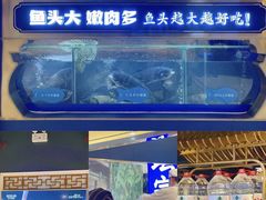 -坛宗剁椒鱼头(河西王府井店)