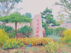 -九龙湖公园