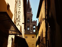 -圣母百花大教堂穹顶