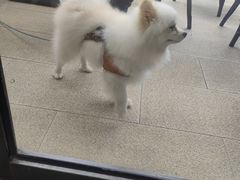 -宋小谨·泉州菜(西沙湾店)