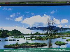 -大九湖