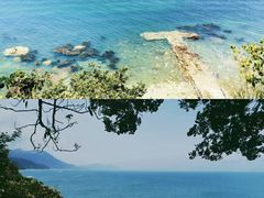 -鹿嘴山庄