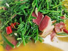 水蕨菜-瑶河山里菜