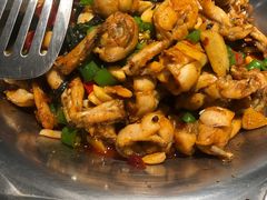 -蛙小侠(珠海华发商都店)