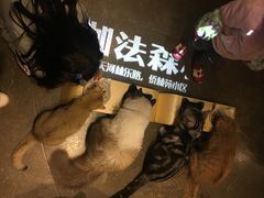 -咖法森林·咖啡  酒吧(天河店)