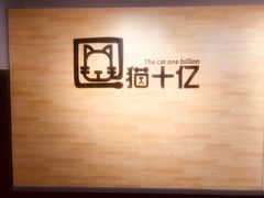 -猫十亿·布偶金渐层·曼基康矮脚猫舍(青年路店)