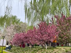 -元大都城垣遗址公园