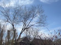 -北京大学赛克勒考古与艺术博物馆