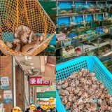 《关于我在厦门反复N刷56789次店》