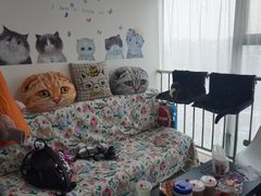 -我爱猫咪·猫咖·狗咖·安哥拉兔·羊驼咖(小寨华旗店)