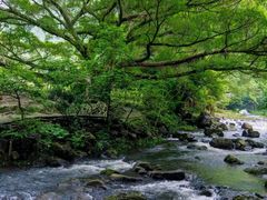 -广州市石门国家森林公园
