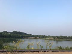 -东郊湿地公园