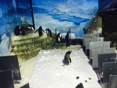 -成都浩海立方海洋公园