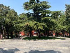 -北京市劳动人民文化宫(太庙)