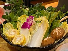 -淼福猪肚鸡·椰子鸡火锅(大沙地店)
